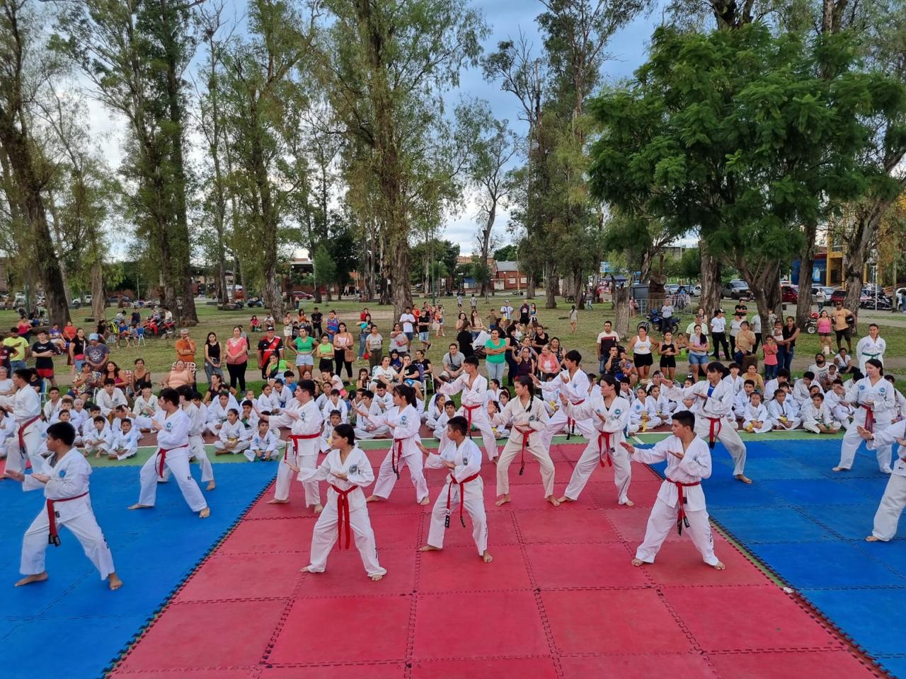 Taekwondo en acción