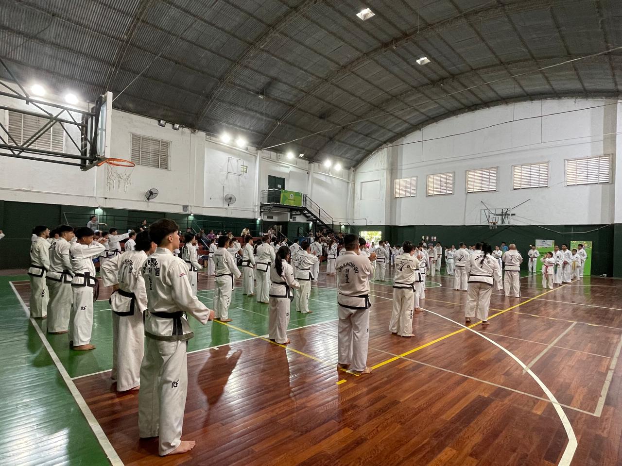 Graduación de cinturones